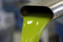 Perché l’olio nuovo pizzica ed è amaro?